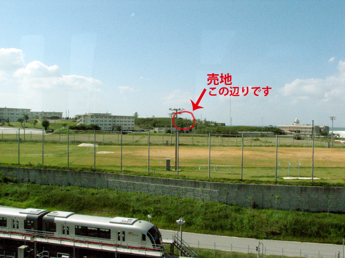 ��R�e�@�q�󎩉q�� �ߔe��n�Q��������