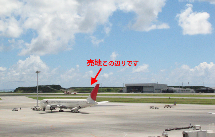 �ߔe��`���r�[����B�e