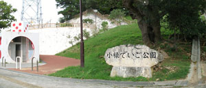 ���\�ł�������