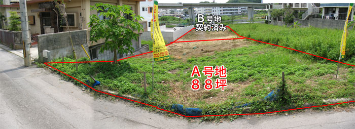 ���n�S��