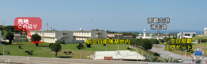 ���R�p�n�̌���ʐ^